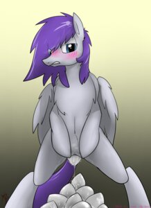 Rating: Explicit Score: 0 Tags: blush bodily_fluids chest_tuft clitoris cymek e621 egg equid equine fan_character feathered_wings feathers female feral fur genital_fluids genitals hasbro hi_res looking_at_viewer mammal my_little_pony mythological_creature mythological_equine mythology oviposition pegasus solo spread_legs spreading tuft vaginal vaginal_fluids vulva wings User: bunchy7s