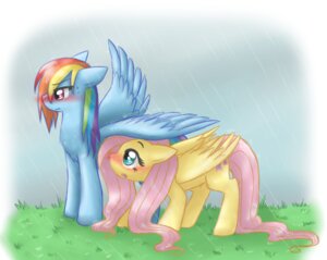 Rating: Safe Score: 0 Tags: 2011 blue_body blue_feathers blue_fur blush detailed_background duo e621 equid equine feathered_wings feathers female fenneklns feral fluttershy_(mlp) friendship_is_magic fur hair hasbro hi_res mammal multicolored_hair my_little_pony mythological_creature mythological_equine mythology outside pegasus quadruped rainbow_dash_(mlp) rainbow_hair raining romantic romantic_couple tail wings yellow_body yellow_feathers User: bunchy7s