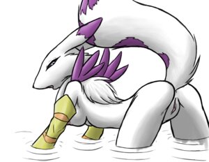 Rating: Explicit Score: 0 Tags: all_fours alternate_color anthro bandai_namco black_sclera breasts butt canid canine clothing digimon digimon_(species) digital_media_(artwork) e621 fan_character female fur furball gaenamon gatomon genitals gloves handwear hybrid looking_at_viewer looking_back mammal neck_tuft nipples presenting purple_body purple_fur raised_tail renamon side_view simple_background solo source_request tail tuft vulva water white_background white_body white_fur User: bunchy7s Rating: Explicit Score: 0 Tags: all_fours alternate_color anthro bandai_namco black_sclera breasts butt canid canine clothing digimon digimon_(species) digital_media_(artwork) e621 fan_character female fur furball gaenamon gatomon genitals gloves handwear hybrid looking_at_viewer looking_back mammal neck_tuft nipples presenting purple_body purple_fur raised_tail renamon side_view simple_background solo source_request tail tuft vulva water white_background white_body white_fur User: bunchy7s