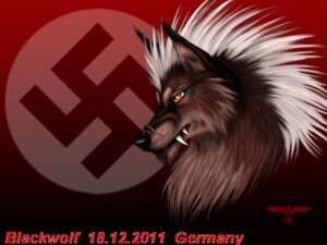 Rating: Questionable Score: 0 Tags: 2011 4:3 black_nose blackwolf brown_body brown_fur canid canine canis detailed e621 facial_scar fangs fur hair headshot_portrait male mammal nazi orange_body orange_fur portrait scar side_view solo swastika teeth white_hair wolf User: bunchy7s