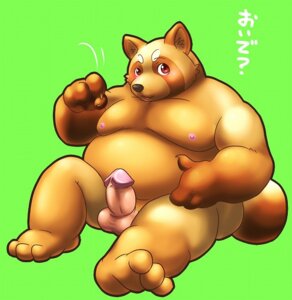 Rating: Explicit Score: 0 Tags: anthro balls biped canid canine e621 erection genitals iceman1984 japanese_text looking_at_viewer low_res male mammal nipples nude overweight overweight_anthro overweight_male penis raccoon_dog sitting solo tanuki text translated User: bunchy7s