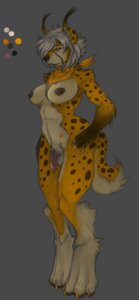 Rating: Explicit Score: 0 Tags: anthro balls breasts canid canine e621 felid feline genitals gynomorph hi_res intersex lynx mammal nipples orange_eyes pav penis solo tail User: bunchy7s
