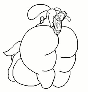 Rating: Explicit Score: 0 Tags: 2d_animation adult_(lore) anal anal_penetration animal_crossing animated animated_gif anthro backsack ball_slap balls balls_deep big_balls big_butt bouncing_balls breasts butt butt_size_difference duo e621 elephant elephantid eloise_(animal_crossing) erection female female_penetrated filbert_(animal_crossing) frame_by_frame genitals gotobeido huge_balls hyper hyper_balls hyper_genitalia interspecies larger_female larger_penetrated larger_sub low_res male male/female male_penetrating male_penetrating_female mammal monochrome nintendo nude overweight overweight_female penetration penis proboscidean rodent sciurid sex short_playtime size_difference slap smaller_male submissive tree_squirrel vein veiny_balls veiny_penis young User: bunchy7s