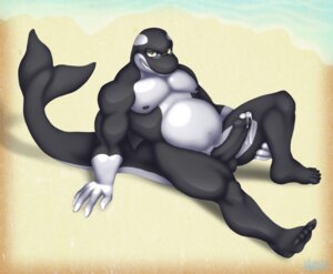 Rating: Explicit Score: 0 Tags: 1boy anthro balls cetacean chubby cum darwen dolphin erection foreskin glasses grin male male_only marine muscles nude orca penis pose rule34 solo spreading tail uncircumcised uncut User: bunchy7s Rating: Explicit Score: 0 Tags: 1boy anthro balls cetacean chubby cum darwen dolphin erection foreskin glasses grin male male_only marine muscles nude orca penis pose rule34 solo spreading tail uncircumcised uncut User: bunchy7s