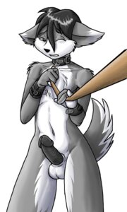 Rating: Explicit Score: 0 Tags: adolescent animal_genitalia anthro avoid_posting balls bdsm biped black_eyes black_hair bondage bound canid canine canis chain chest_tuft collar digital_drawing_(artwork) digital_media_(artwork) erection funny_post_number fur genitals greyscale hair humanoid_pointy_ears leash male male_anthro mammal monochrome nude nude_anthro nude_male one_eye_closed penis pointy_ears shaded sheath soft_shading solo strider-orion tuft wolf young young_anthro young_male User: bunchy7s