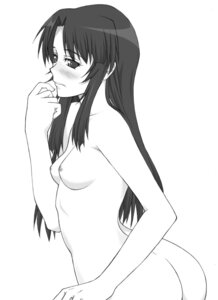 Rating: Explicit Score: 0 Tags: blush breasts female kashiwagi_chizuru kizuato long_hair monochrome nude pointy_chin rule34 shichimenchou simple_background User: bunchy7s Rating: Explicit Score: 0 Tags: blush breasts female kashiwagi_chizuru kizuato long_hair monochrome nude pointy_chin rule34 shichimenchou simple_background User: bunchy7s