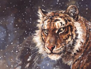 Rating: Safe Score: 0 Tags: abstract_background amber_eyes ambiguous_gender e621 felid feral fur headshot_portrait kenket looking_at_viewer mammal outside painting_(artwork) pantherine portrait simple_background snow snowing solo tiger traditional_media_(artwork) traditional_painting_(artwork) whiskers User: bunchy7s Rating: Safe Score: 0 Tags: abstract_background amber_eyes ambiguous_gender e621 felid feral fur headshot_portrait kenket looking_at_viewer mammal outside painting_(artwork) pantherine portrait simple_background snow snowing solo tiger traditional_media_(artwork) traditional_painting_(artwork) whiskers User: bunchy7s
