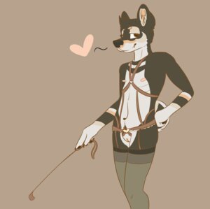 Rating: Explicit Score: 0 Tags: andromorph anthro birdsmooch black_body black_fur brown_eyes canid canine canis clothed clothing domestic_dog e621 fur genitals harness heart_symbol hi_res intersex legwear mammal nipples riding_crop shiba_inu simple_background solo spitz stockings vulva whip User: bunchy7s Rating: Explicit Score: 0 Tags: andromorph anthro birdsmooch black_body black_fur brown_eyes canid canine canis clothed clothing domestic_dog e621 fur genitals harness heart_symbol hi_res intersex legwear mammal nipples riding_crop shiba_inu simple_background solo spitz stockings vulva whip User: bunchy7s