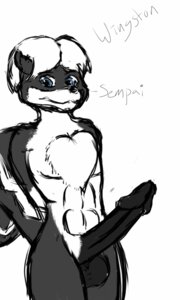 Rating: Explicit Score: 0 Tags: 2013 anthro balls biped cardiophilia e621 english_text erection genitals glen_skunk hair looking_at_viewer male nude penis simple_background sketch smile solo tail text wingston User: bunchy7s