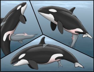 Rating: Explicit Score: 0 Tags: animal_genitalia animal_penis animal_vulva aquatic cetacean cetacean_genitalia cetacean_penis cetacean_vulva dolorcin dolphin duo e621 erection female feral genital_slit genitals larger_female male mammal mammary_slits nude oceanic_dolphin orca penis size_difference smaller_male tapering_penis toothed_whale unbirthing vaginal vaginal_tail_gulp vore vulva User: bunchy7s Rating: Explicit Score: 0 Tags: animal_genitalia animal_penis animal_vulva aquatic cetacean cetacean_genitalia cetacean_penis cetacean_vulva dolorcin dolphin duo e621 erection female feral genital_slit genitals larger_female male mammal mammary_slits nude oceanic_dolphin orca penis size_difference smaller_male tapering_penis toothed_whale unbirthing vaginal vaginal_tail_gulp vore vulva User: bunchy7s