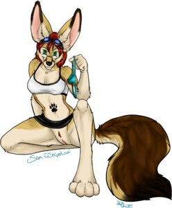 Rating: Explicit Score: 0 Tags: anthro big_ears biped black_nose bottomless bottomwear canid canine clothed clothing conditional_dnp countershading digital_media_(artwork) e621 eyewear eyewear_on_head female fennec_fox footprint fox genitals glasses goggles green_eyes hair holding_clothing holding_object holding_underwear looking_at_viewer mammal markings no_underwear oli_snowpaw panties pawprint pawprint_(marking) pubes red_hair samantha_wolf shaded shirt simple_background sitting skimpy skirt solo spread_legs spreading tail tank_top tattoo topwear true_fox underwear upskirt vulva white_background User: bunchy7s Rating: Explicit Score: 0 Tags: anthro big_ears biped black_nose bottomless bottomwear canid canine clothed clothing conditional_dnp countershading digital_media_(artwork) e621 eyewear eyewear_on_head female fennec_fox footprint fox genitals glasses goggles green_eyes hair holding_clothing holding_object holding_underwear looking_at_viewer mammal markings no_underwear oli_snowpaw panties pawprint pawprint_(marking) pubes red_hair samantha_wolf shaded shirt simple_background sitting skimpy skirt solo spread_legs spreading tail tank_top tattoo topwear true_fox underwear upskirt vulva white_background User: bunchy7s