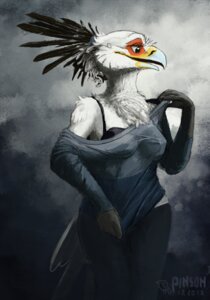 Rating: Safe Score: 0 Tags: accipitriform anthro avian bird bombird bra breasts clara_(bombird) clothing e621 female non-mammal_breasts secretary_bird solo translucent translucent_clothing underwear undressing wide_hips User: bunchy7s
