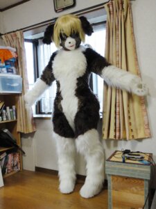 Rating: Safe Score: 0 Tags: 3:4 anthro apple_inc. bin biped blonde_hair bodysuit book box clock clothing container cosplay costume curtains e621 electronics extended_arms femboy floor fur fursuit game_console grandfathered_content hair handheld handheld_console inside inviting ipod ipod_nano looking_at_viewer male marie_(tetetor-oort) mask photography_(artwork) plastic plastic_bin plastic_container playstation playstation_console playstation_portable portable_music_player psp_console real shelf short_hair skinsuit solo sony_corporation sony_interactive_entertainment spread_arms standing straight_legs tetetor-oort tight_clothing wall_clock wig window wood wood_floor User: bunchy7s