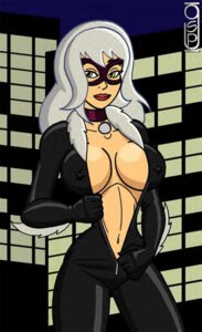 Rating: Questionable Score: 0 Tags: black_cat_(marvel) choker cleavage felicia_hardy female female_only green_eyes greg_panovich human marvel marvel_comics mask navel rule34 solo spider-man_(series) straight_hair white_hair User: bunchy7s