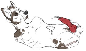 Rating: Explicit Score: 0 Tags: 4_missing_limbs amputee animal_genitalia animal_penis anthro bodily_fluids canid canine canine_genitalia canine_penis canis cum cum_on_self disability domestic_dog e621 ejaculation erection frown fur gayfurryamputee genital_fluids genitals grey_markings hands-free helpless knot male mammal markings misplaced_urethra missing_arm missing_leg nude orgasm penis quadruple_amputee red_penis scar solo spots stump_scar upside_down_penis white_body white_fur User: bunchy7s