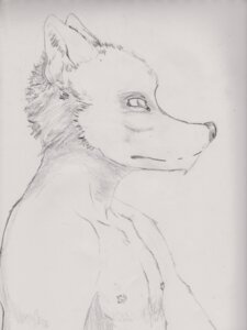 Rating: Safe Score: 0 Tags: 3:4 anthro black_and_white black_nose canid canine clothed clothing e621 hi_res looking_away male mammal monochrome nipples pencil_(object) semiotica solo topless User: bunchy7s