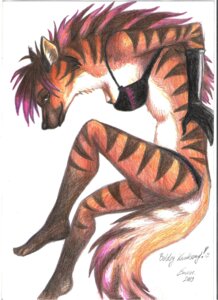 Rating: Safe Score: 0 Tags: 2009 bra breasts brown_body brown_eyes brown_fur clothed clothing e621 female fisi fur gloves hair handwear hi_res hyena mammal markings multicolored_hair panties pink_hair simple_background skimpy smile solo striped_hyena stripes tail two_tone_hair underwear white_background User: bunchy7s