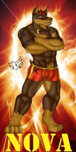 Rating: Explicit Score: 0 Tags: 1:2 4_toes abs anthro biceps big_muscles boxer_briefs brown_body brown_fur bulge canid canine canis clothed clothing collarbone_piercing crossed_arms detailed_bulge digitigrade dobermann domestic_dog e621 ear_piercing english_text facial_piercing feet fur hi_res horn hunter hunterramirez labret_piercing lip_piercing male mammal muscular muscular_anthro muscular_male navel nova_(dwalker) pecs piercing pinscher pointy_ears pose prick_ears signature solo standing tattoo text toes topless unavailable_at_source underwear yellow_eyes User: bunchy7s