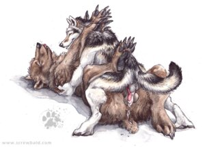Rating: Explicit Score: 0 Tags: 2007 after_sex anal animal_genitalia animal_penis anthro anthro_on_anthro balls bear black_body black_fur blotch bodily_fluids brown_body brown_fur canid canine canine_genitalia canine_penis canis claws cum cum_drip cum_in_ass cum_inside cum_on_penis dripping duo e621 erection eyes_closed from_front_position fur genital_fluids genitals half-closed_eyes interspecies knot lying male male/male mammal missionary_position multicolored_body multicolored_fur narrowed_eyes nude on_back one_eye_closed pawpads penis scratches_volume_1 sex simple_background smile spread_legs spreading tail toe_claws tongue tongue_out traditional_media_(artwork) two_tone_body two_tone_fur white_background white_body white_fur wolf User: bunchy7s