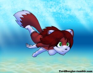 Rating: Questionable Score: 0 Tags: anthro belly breasts canid canine casual_nudity domestic_cat e621 felid feline felis female fluffy fluffy_tail fox fur gloves_(marking) green_eyes hair hybrid leg_markings linda's_jog linda_wright mammal markings nipples nude pink_nipples red_body red_fur red_hair skinny_dipping small_breasts socks_(marking) solo story story_in_description swimming tail terdburgler text underwater url water white_belly User: bunchy7s Rating: Questionable Score: 0 Tags: anthro belly breasts canid canine casual_nudity domestic_cat e621 felid feline felis female fluffy fluffy_tail fox fur gloves_(marking) green_eyes hair hybrid leg_markings linda's_jog linda_wright mammal markings nipples nude pink_nipples red_body red_fur red_hair skinny_dipping small_breasts socks_(marking) solo story story_in_description swimming tail terdburgler text underwater url water white_belly User: bunchy7s