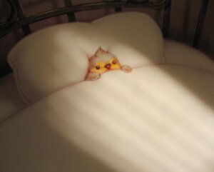 Rating: Safe Score: 0 Tags: ambiguous_gender avian beak bed bird chat_(bird) coroxpiyo detailed detailed_background digital_media_(artwork) e621 european_robin feral fur furniture low_res old_world_flycatcher on_bed oscine passerine robin_(bird) saxicoline solo toony under_covers yellow_body yellow_fur User: bunchy7s
