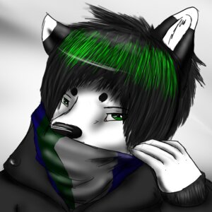 Rating: Safe Score: 0 Tags: 1:1 ambiguous_gender anthro black_body black_fur black_hair black_nose canid canine clothing coat e621 fur green_eyes green_hair hair looking_at_viewer mammal maronthehusky simple_background solo topwear white_background white_body white_fur User: bunchy7s