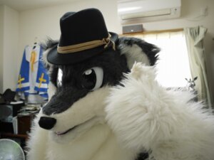 Rating: Safe Score: 0 Tags: ambiguous_gender anthro canid canine clothing costume e621 electric_fan fedora fox fursuit grandfathered_content hat headgear headwear mammal netiel oscillating_fan photography_(artwork) real solo User: bunchy7s