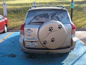 Rating: Safe Score: 0 Tags: 4:3 ambiguous_gender canada canid canine canis e621 feral grandfathered_content hi_res mammal ontario real solo toyota toyota_rav4 unknown_artist window wolf User: bunchy7s Rating: Safe Score: 0 Tags: 4:3 ambiguous_gender canada canid canine canis e621 feral grandfathered_content hi_res mammal ontario real solo toyota toyota_rav4 unknown_artist window wolf User: bunchy7s