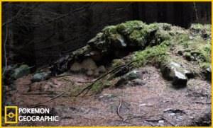 Rating: Safe Score: 0 Tags: ambiguous_gender border detailed_background e621 forest generation_3_pokemon group izzatakiwa national_geographic nature nintendo outside plant pokemon pokemon_(species) pokemon_geographic shroomish toony tree wood yellow_border User: bunchy7s