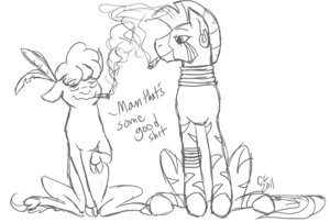 Rating: Questionable Score: 0 Tags: 2011 american_bison bison bovid bovine cartoonlion drugs duo e621 ear_piercing equid equine female feral friendship_is_magic hasbro little_strongheart_(mlp) mammal marijuana monochrome my_little_pony piercing stripes young young_feral zebra zecora_(mlp) User: bunchy7s