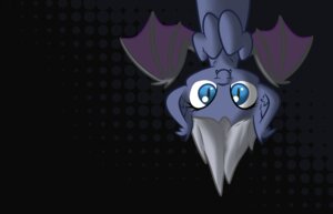 Rating: Safe Score: 0 Tags: 14:9 absurd_res bat bat_pony blue_body blue_eyes blue_fur e621 equid equine fan_character fangs female feral fur hair hasbro hi_res hybrid long_hair looking_at_viewer mammal membrane_(anatomy) membranous_wings my_little_pony mythological_creature mythological_equine mythology oblivinite pegasus pupils slit_pupils smile solo teeth upside_down white_hair wings User: bunchy7s