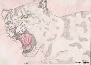 Rating: Safe Score: 0 Tags: 2005 ambiguous_gender e621 felid feral green_eyes mammal open_mouth pantherine snow_leopard solo teeth unknown_artist User: bunchy7s Rating: Safe Score: 0 Tags: 2005 ambiguous_gender e621 felid feral green_eyes mammal open_mouth pantherine snow_leopard solo teeth unknown_artist User: bunchy7s