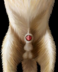 Rating: Explicit Score: 0 Tags: animal_genitalia balls belly black_background canid canine canis crotch_shot digital_media_(artwork) e621 ebon_lupus feral first_person_view fluffy fluffy_tail fur genital_focus genitals knot knot_in_sheath low-angle_view male mammal nude penis penis_tip sheath simple_background solo tail tan_body tan_fur urethra wolf User: bunchy7s Rating: Explicit Score: 0 Tags: animal_genitalia balls belly black_background canid canine canis crotch_shot digital_media_(artwork) e621 ebon_lupus feral first_person_view fluffy fluffy_tail fur genital_focus genitals knot knot_in_sheath low-angle_view male mammal nude penis penis_tip sheath simple_background solo tail tan_body tan_fur urethra wolf User: bunchy7s