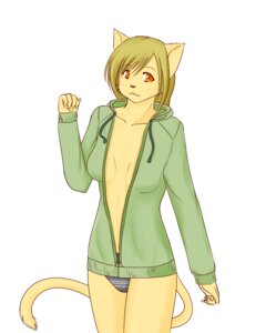 Rating: Safe Score: 0 Tags: 4:5 amber_eyes blonde_hair breasts cleavage clothed clothing diva_(artist) domestic_cat e621 felid feline felis female hair hoodie mammal panties shirt short_hair simple_background solo standing tail topwear underwear white_background User: bunchy7s