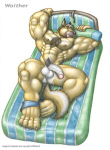 Rating: Explicit Score: 0 Tags: 4_toes abs anthro balls bed biceps big_muscles big_penis biped blue_eyes body_hair braford canid canine canis chest_hair chest_tuft claws clothed clothing clothing_around_one_leg domestic_dog e621 english_text feet foreskin fur furniture genitals german_shepherd hairy half-erect herding_dog huge_muscles humanoid_genitalia humanoid_penis lying male mammal muscular muscular_anthro muscular_male nipples nude on_back on_bed partially_clothed partially_retracted_foreskin pastoral_dog pecs penis pillow pubes reclining solo tail text toe_claws toes traditional_media_(artwork) tuft underwear underwear_around_one_leg underwear_down undressing vein walther_(braford) User: bunchy7s