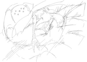 Rating: Safe Score: 0 Tags: ambiguous_gender anthro avian bird black_and_white blaziken digital_drawing_(artwork) digital_media_(artwork) duo e621 fight generation_3_pokemon guide_lines legendary_pokemon male monochrome nintendo oekaki pokemon pokemon_(species) registeel simple_background sketch solo_focus sqjgg693 white_background User: bunchy7s Rating: Safe Score: 0 Tags: ambiguous_gender anthro avian bird black_and_white blaziken digital_drawing_(artwork) digital_media_(artwork) duo e621 fight generation_3_pokemon guide_lines legendary_pokemon male monochrome nintendo oekaki pokemon pokemon_(species) registeel simple_background sketch solo_focus sqjgg693 white_background User: bunchy7s