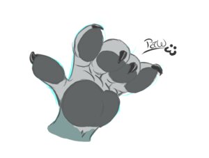 Rating: Safe Score: 0 Tags: 5_fingers :3 ambiguous_gender ambiguous_species anthro claws disembodied_hand e621 fenni fingers frozen_over hand_shot handpaw pawpads paws simple_background solo white_background User: bunchy7s