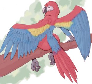 Rating: Safe Score: 0 Tags: 2011 anthro ara_(genus) avian beak biped bird branch breasts e621 feathered_wings feathers female in_tree leucrotta macaw neotropical_parrot non-mammal_breasts nude on_branch outside parrot plant scarlet_macaw side_boob sitting solo tree true_parrot wings User: bunchy7s Rating: Safe Score: 0 Tags: 2011 anthro ara_(genus) avian beak biped bird branch breasts e621 feathered_wings feathers female in_tree leucrotta macaw neotropical_parrot non-mammal_breasts nude on_branch outside parrot plant scarlet_macaw side_boob sitting solo tree true_parrot wings User: bunchy7s