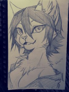 Rating: Safe Score: 0 Tags: 2013 3:4 anthro breasts bust_portrait chest_tuft cleavage clothed clothing e621 ear_piercing falvie female fur graphite_(artwork) looking_at_viewer notebook open_mouth piercing portrait sketch smile solo traditional_media_(artwork) tuft User: bunchy7s