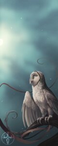 Rating: Safe Score: 0 Tags: ambiguous_gender avian barn_owl bird e621 feathered_wings feathers feral owl pechschwinge sky solo star starry_sky tyto tytonid white_body white_feathers wings User: bunchy7s