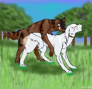 Rating: Explicit Score: 0 Tags: canine chutora cross_(ginga) female feral feral_on_feral ginga_(series) male rule34 sex User: bunchy7s