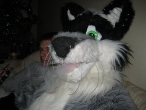 Rating: Safe Score: 0 Tags: 4:3 ambiguous_gender anthro clothing costume drugs e621 fursuit grandfathered_content hookah human male mammal procyonid raccoon real ruishirokitsune smoke solo User: bunchy7s