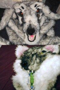 Rating: Safe Score: 0 Tags: 2:3 ambiguous_gender canid canine canis clothing costume creepy domestic_dog e621 esuterure2006 fluffy fursuit grandfathered_content hi_res mammal monster nightmare_fuel open_mouth real scary solo teeth tongue what User: bunchy7s