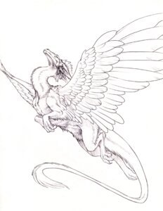 Rating: Safe Score: 0 Tags: ambiguous_gender dragon e621 feathered_dragon feathered_scalie feathered_wings feathers feral flying hibbary monochrome mythological_creature mythological_scalie mythology scalie sketch solo tail wings User: bunchy7s Rating: Safe Score: 0 Tags: ambiguous_gender dragon e621 feathered_dragon feathered_scalie feathered_wings feathers feral flying hibbary monochrome mythological_creature mythological_scalie mythology scalie sketch solo tail wings User: bunchy7s