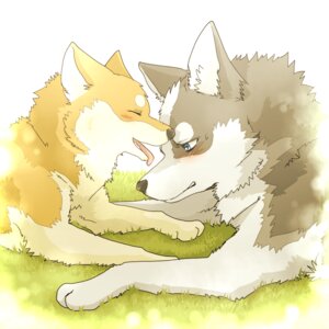 Rating: Safe Score: 0 Tags: 1:1 ambiguous_gender black_body black_fur blue_eyes blush canid canine canis daww digital_drawing_(artwork) digital_media_(artwork) domestic_dog duo e621 feet feral fur grass happy inner_ear_fluff kemono lying mammal multicolored_body multicolored_fur on_front open_mouth outside pink_tongue plant tan_body tan_fur teeth toes tongue tongue_out tuft unknown_artist white_inner_ear_fluff User: bunchy7s