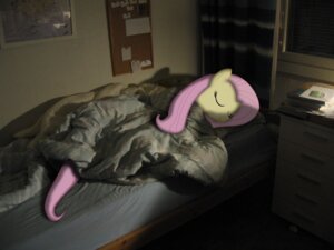 Rating: Safe Score: 0 Tags: 4:3 bed bedding blanket blinds blue_eyes bulletin_board e621 equid equine eyes_closed female feral fluttershy_(mlp) friendship_is_magic furniture hair hasbro horse information_board inside long_hair mammal mixed_media my_little_pony on_bed photo_background photography_(artwork) pillow pink_hair pony real sleeping solo toony under_covers unknown_artist User: bunchy7s Rating: Safe Score: 0 Tags: 4:3 bed bedding blanket blinds blue_eyes bulletin_board e621 equid equine eyes_closed female feral fluttershy_(mlp) friendship_is_magic furniture hair hasbro horse information_board inside long_hair mammal mixed_media my_little_pony on_bed photo_background photography_(artwork) pillow pink_hair pony real sleeping solo toony under_covers unknown_artist User: bunchy7s