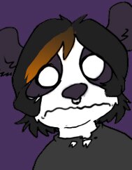 Rating: Safe Score: 0 Tags: anthro bear black_hair e621 facial_piercing giant_panda hair hybrid low_res male mammal nose_piercing nose_ring piercing ring_piercing septum_piercing simple_background solo stare thumbnail zeriara User: bunchy7s
