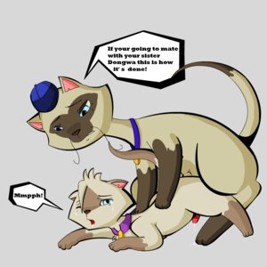 Rating: Explicit Score: 0 Tags: baba_miao dongwa male male_only rule34 sagwa_the_chinese_siamese_cat tagme User: bunchy7s Rating: Explicit Score: 0 Tags: baba_miao dongwa male male_only rule34 sagwa_the_chinese_siamese_cat tagme User: bunchy7s