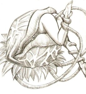 Rating: Explicit Score: 0 Tags: audrey_ii duo e621 elemental_creature female female_prey flora_fauna forced graphite_(artwork) head_first human human_prey lips little_shop_of_horrors mammal monochrome monster monster_pred not_furry oral_vore partially_inside penetration plant plant_pred plant_tentacles rape sex simple_background tentacle_around_leg tentacle_rape tentacle_sex tentacles traditional_media_(artwork) unknown_artist vaginal vaginal_penetration vore white_background User: bunchy7s
