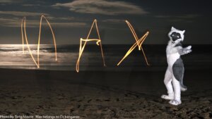 Rating: Safe Score: 0 Tags: 16:9 anthro beach clothing costume detailed_background e621 english_text fursuit grandfathered_content looking_at_viewer male max_(ozkangaroo) nature night outside photography_(artwork) pose real sea seaside sky solo text unavailable_at_source unknown_artist water widescreen User: bunchy7s